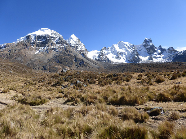 peruvian