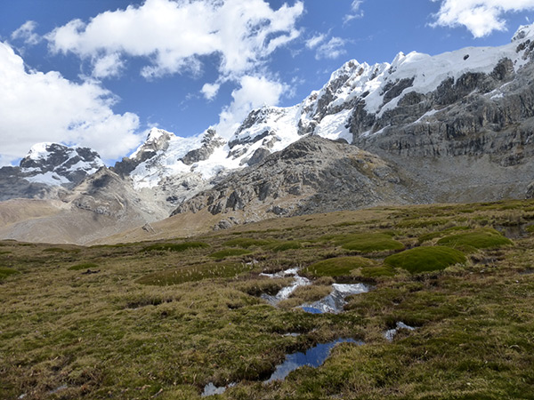 peruvian