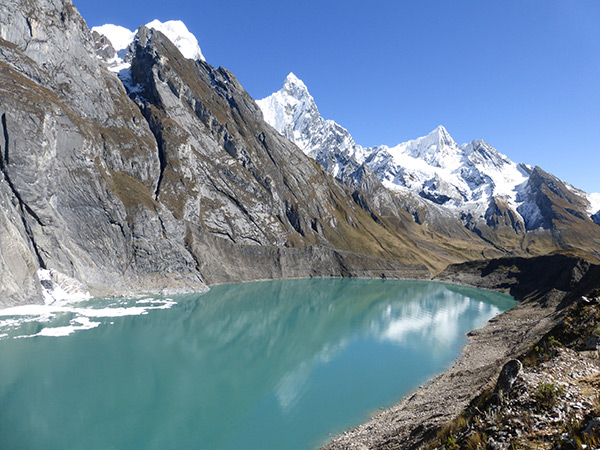 peruvian