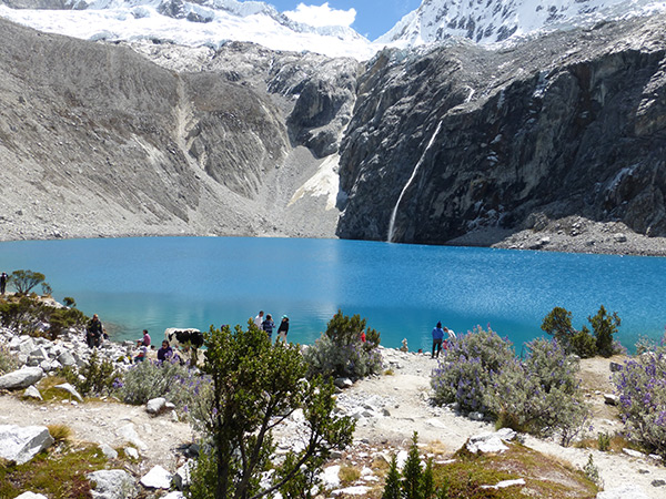 peruvian