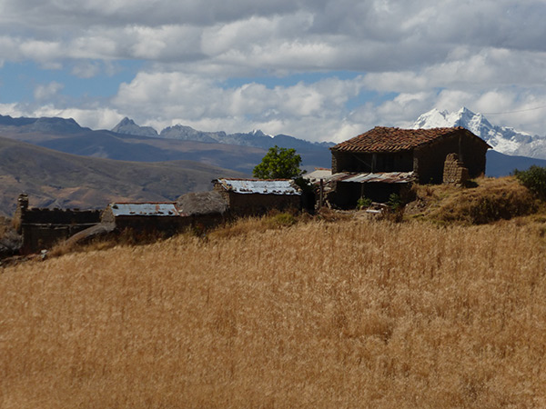 peruvian